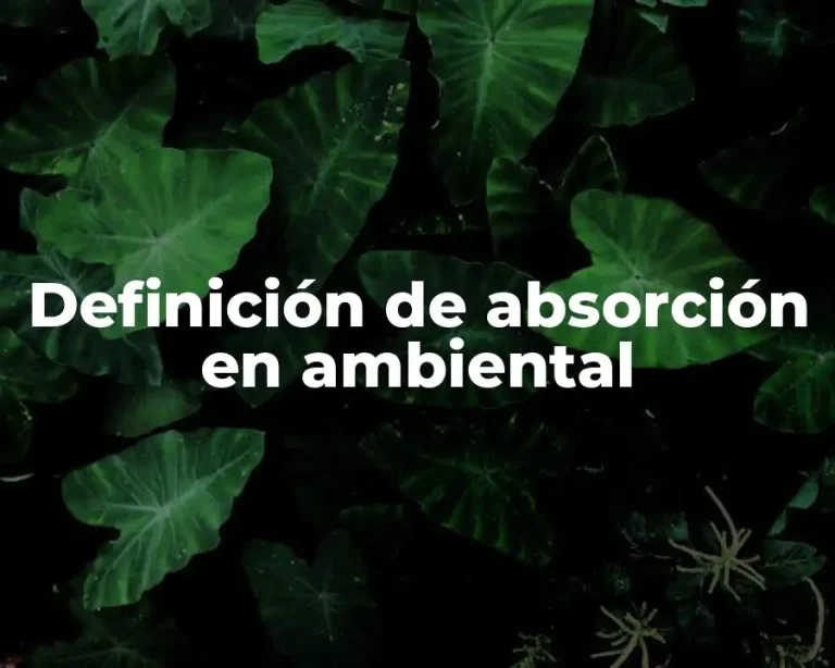 Definición de absorción en ambiental