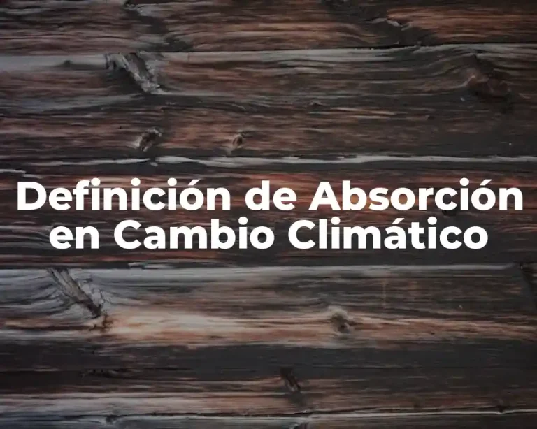 Definición de Absorción en Cambio Climático