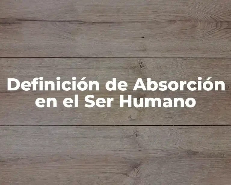 Definición de Absorción en el Ser Humano