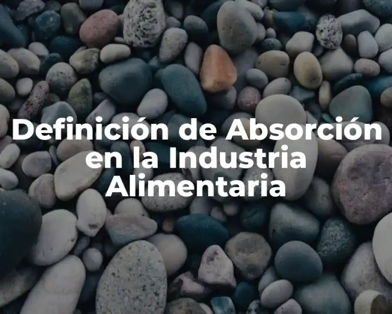 Definición de Absorción en la Industria Alimentaria