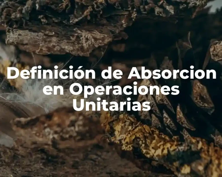 Definición de Absorcion en Operaciones Unitarias