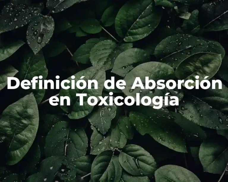 Definición de Absorción en Toxicología