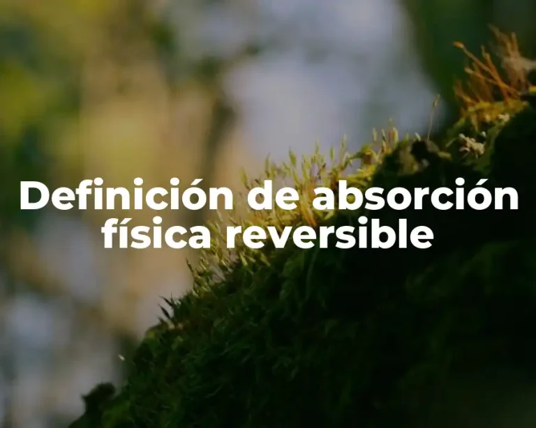 Definición de absorción física reversible