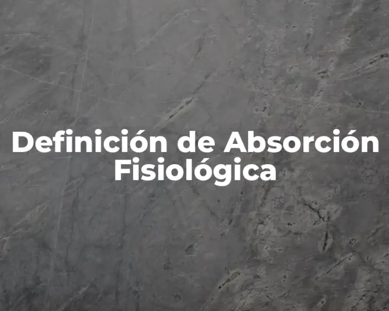 Definición de Absorción Fisiológica