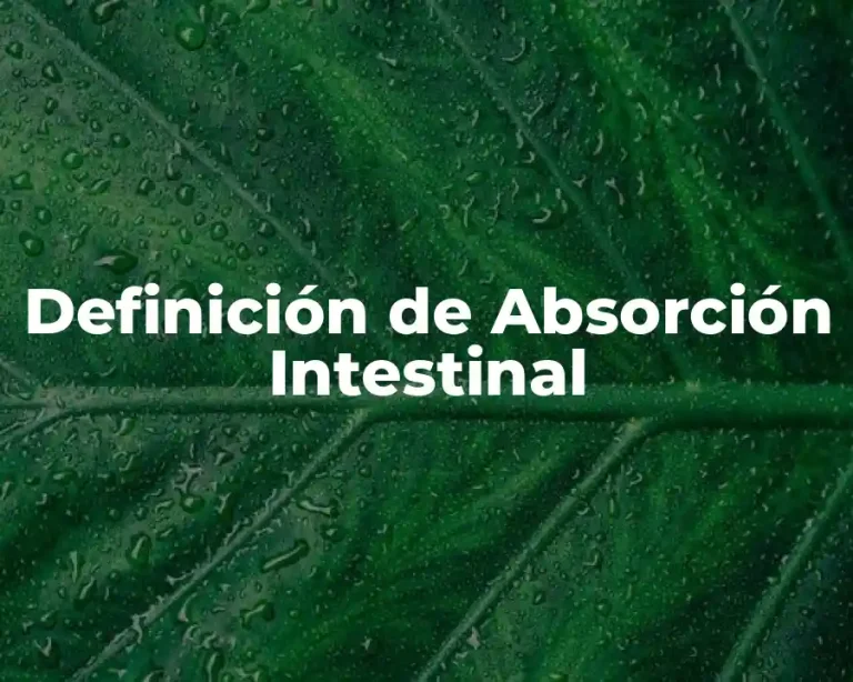Definición de Absorción Intestinal