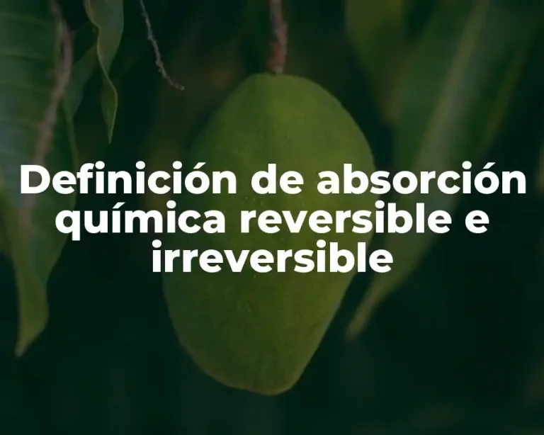 Definición de absorción química reversible e irreversible