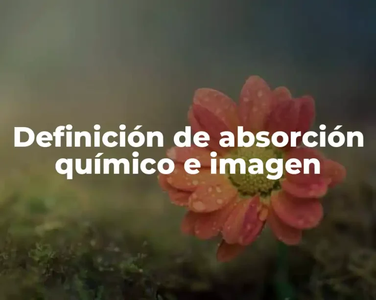 Definición de absorción químico e imagen