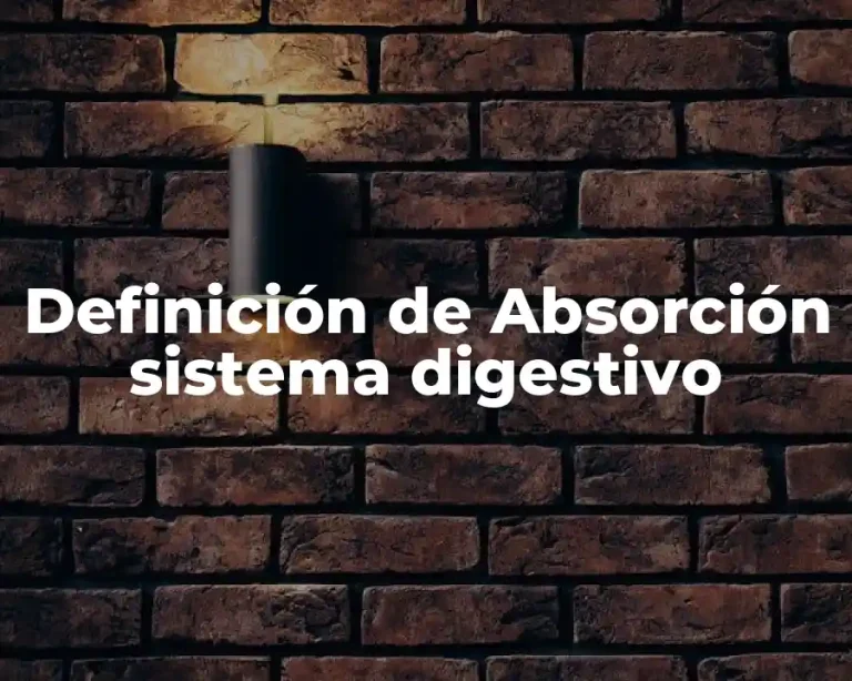 Definición de Absorción sistema digestivo