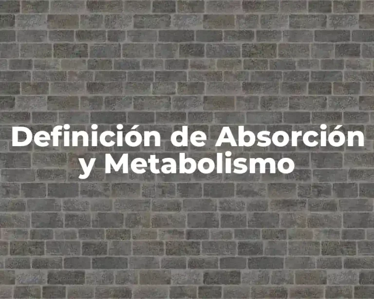 Definición de Absorción y Metabolismo