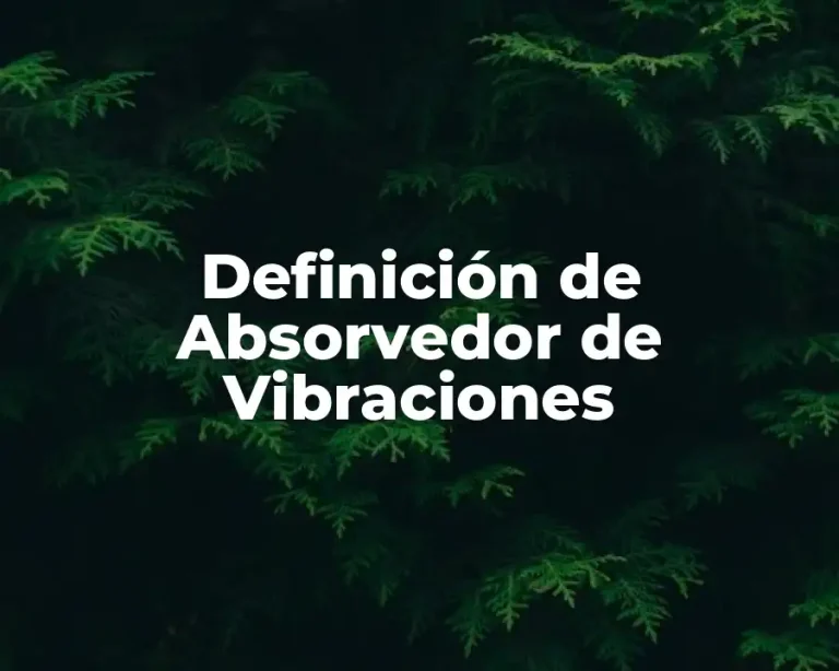 Definición de Absorvedor de Vibraciones