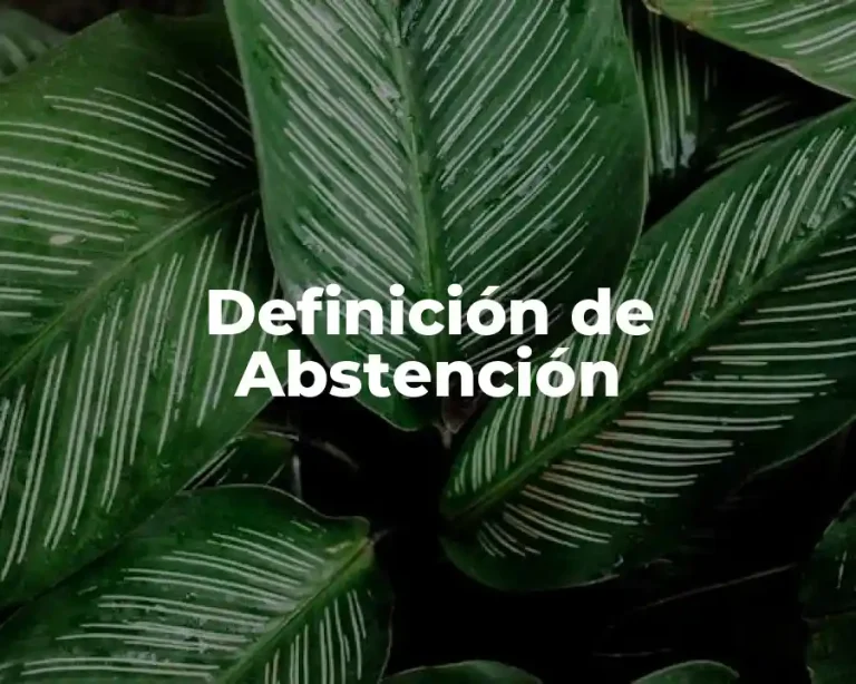 Definición de Abstención
