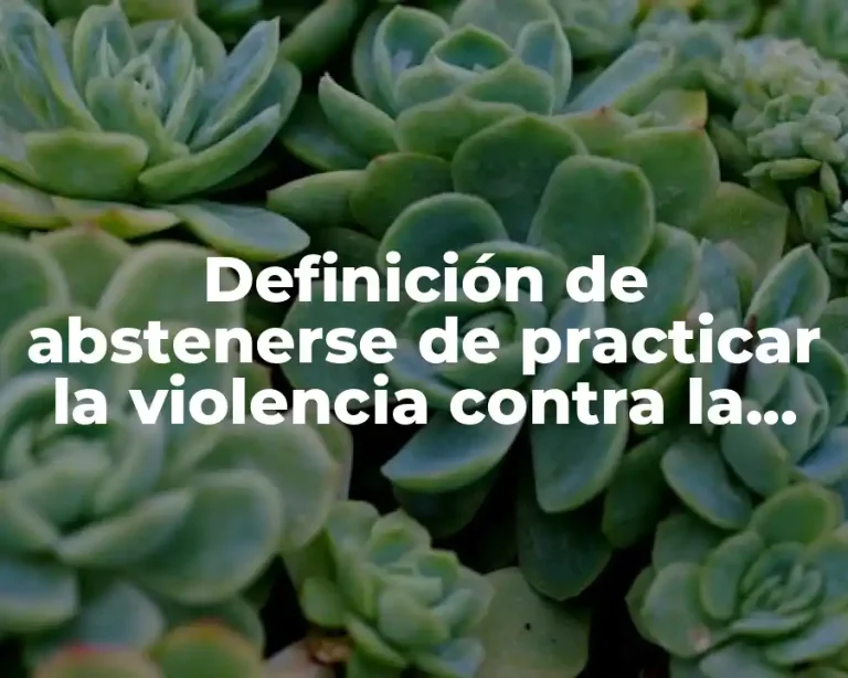 Definición de abstenerse de practicar la violencia contra la mujer