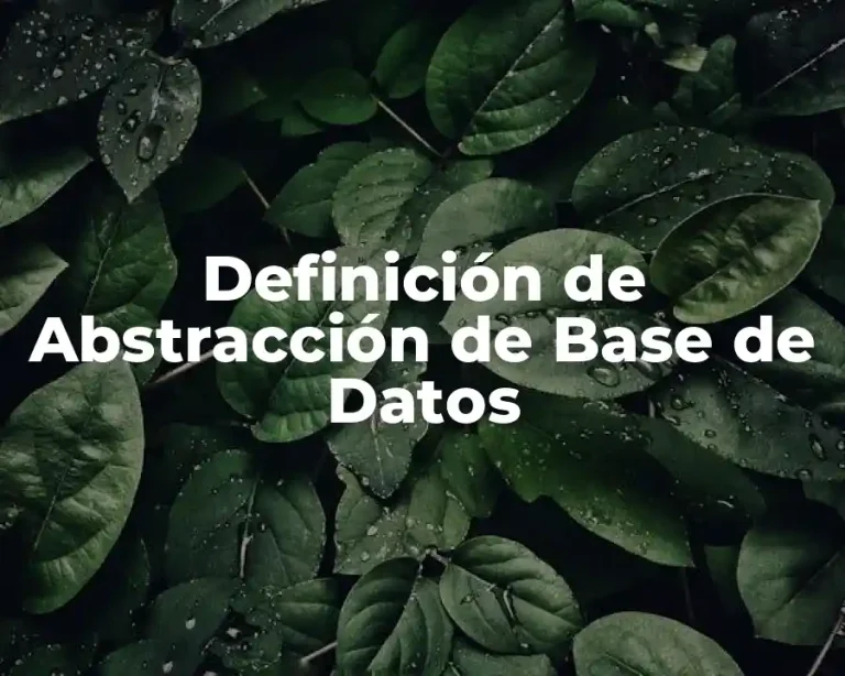 Definición de Abstracción de Base de Datos