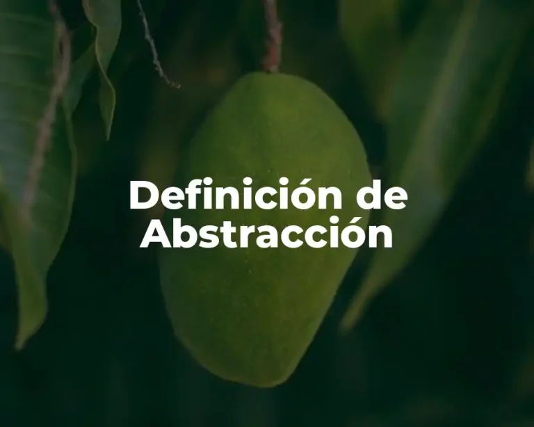 Definición de Abstracción
