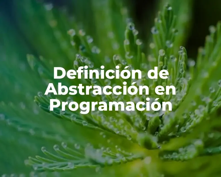 Definición de Abstracción en Programación
