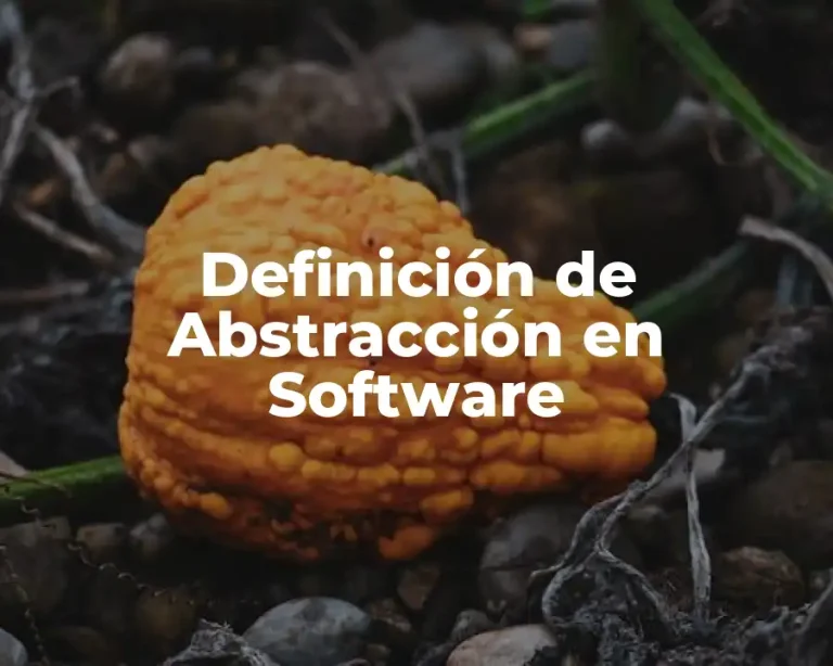 Definición de Abstracción en Software
