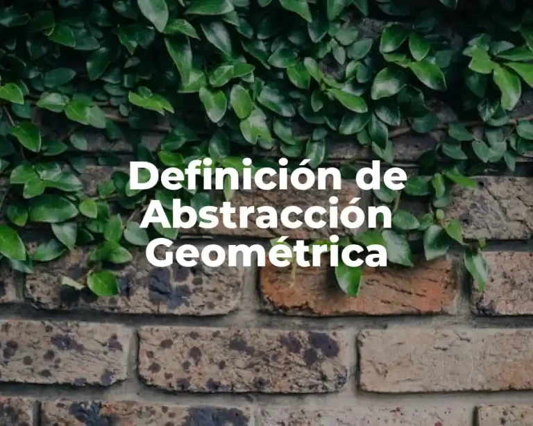 Definición de Abstracción Geométrica
