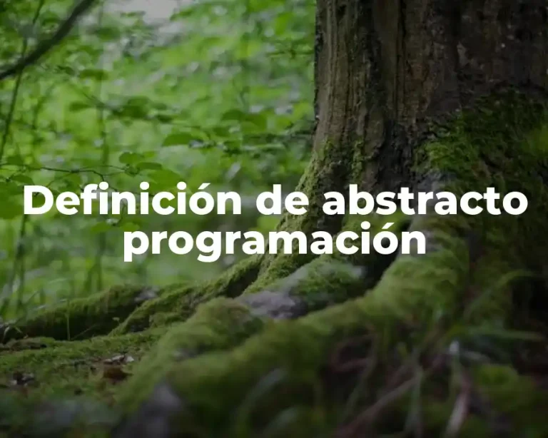 Definición de abstracto programación