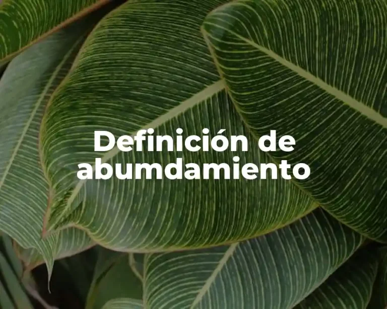 Definición de abumdamiento