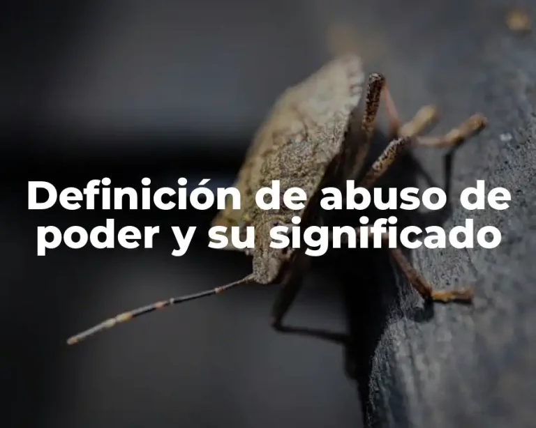 Definición de abuso de poder y su significado