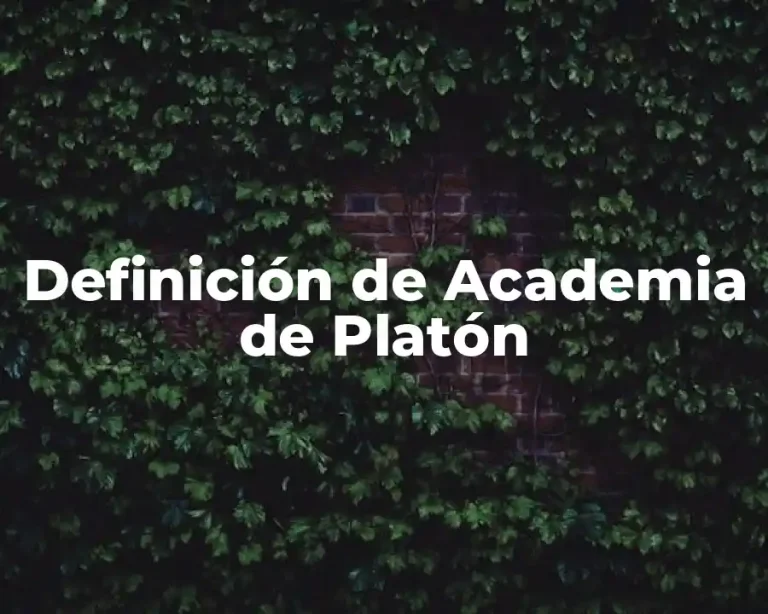 Definición de Academia de Platón