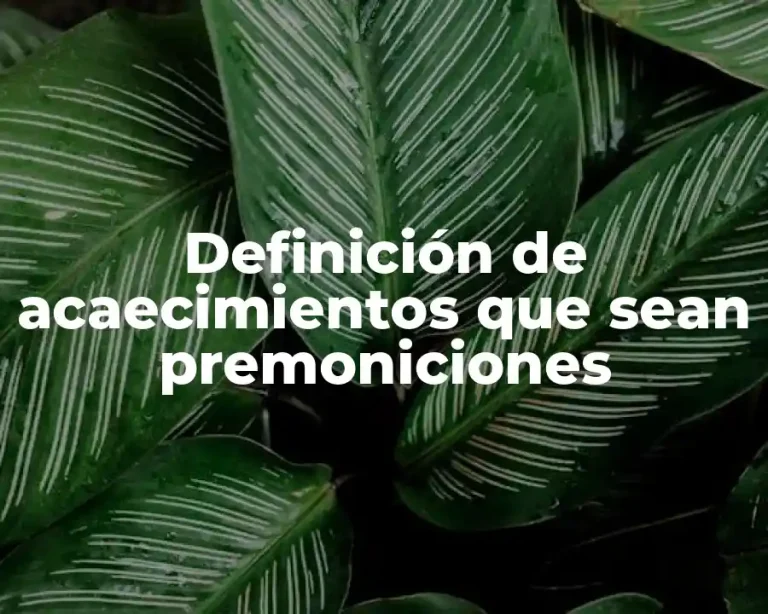 Definición de acaecimientos que sean premoniciones