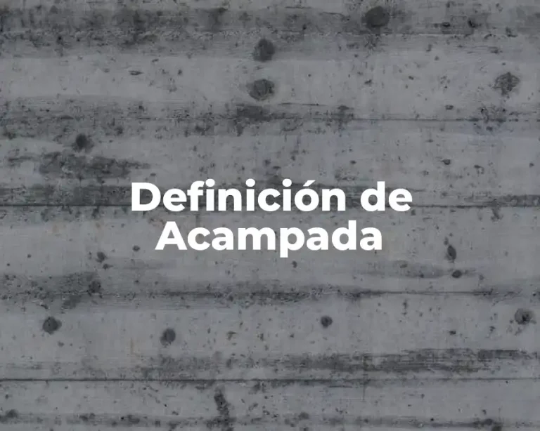 Definición de Acampada