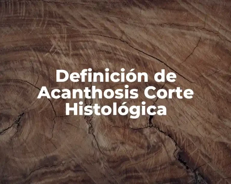 Definición de Acanthosis Corte Histológica