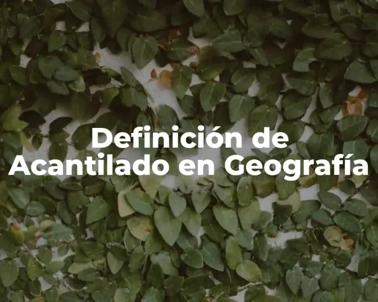 Definición de Acantilado en Geografía