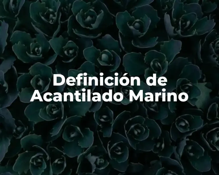 Definición de Acantilado Marino