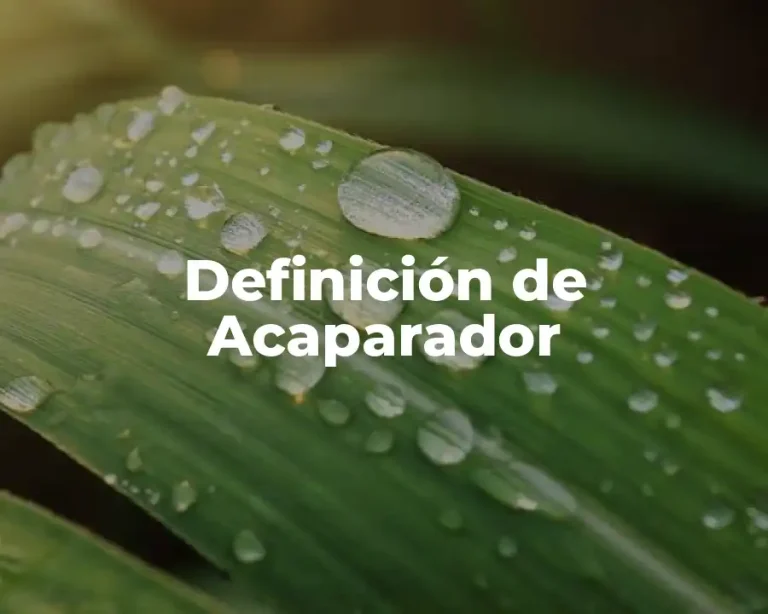 Definición de Acaparador