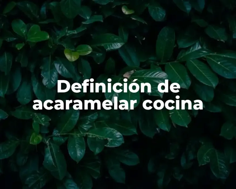 Definición de acaramelar cocina