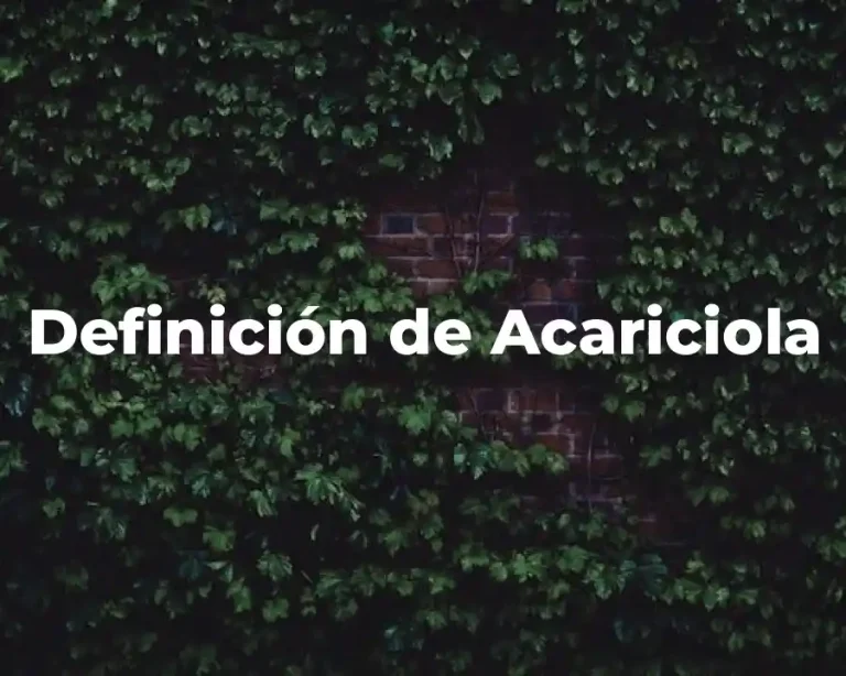 Definición de Acariciola