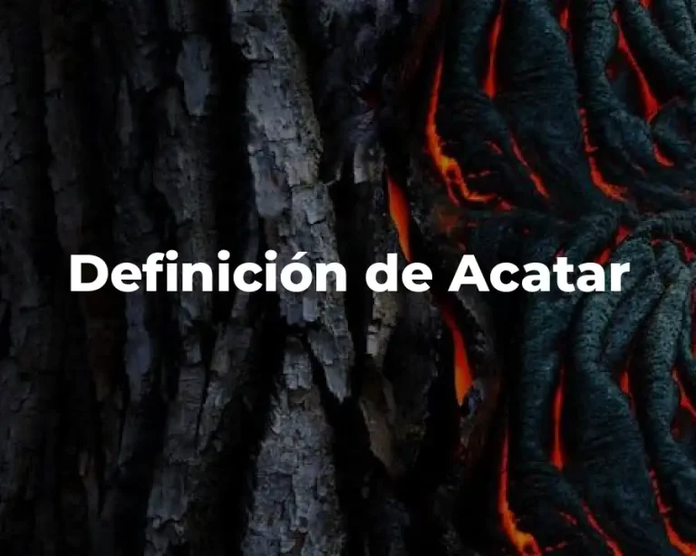 Definición de Acatar