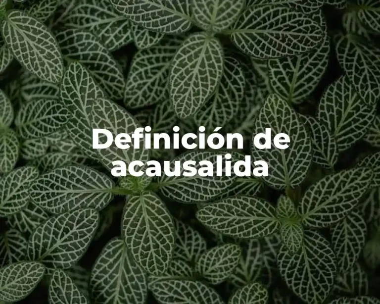 Definición de acausalida