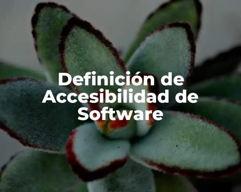 Definición de Accesibilidad de Software