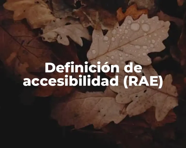 Definición de accesibilidad (RAE)