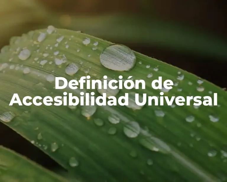 Definición de Accesibilidad Universal