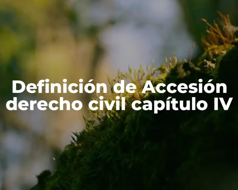 Definición de Accesión derecho civil capítulo IV