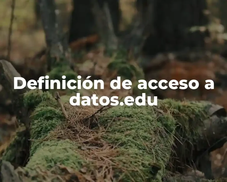 Definición de acceso a datos.edu