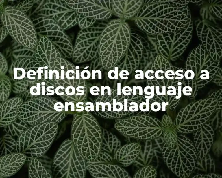 Definición de acceso a discos en lenguaje ensamblador