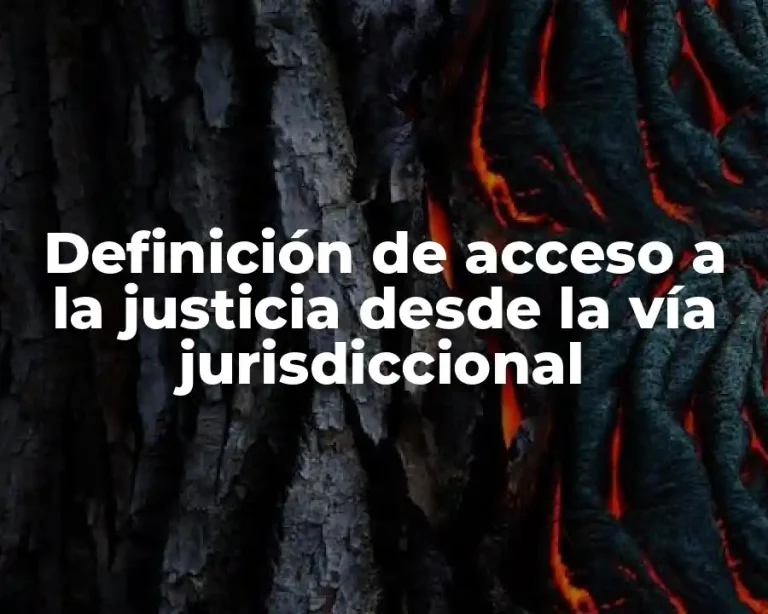 Definición de acceso a la justicia desde la vía jurisdiccional