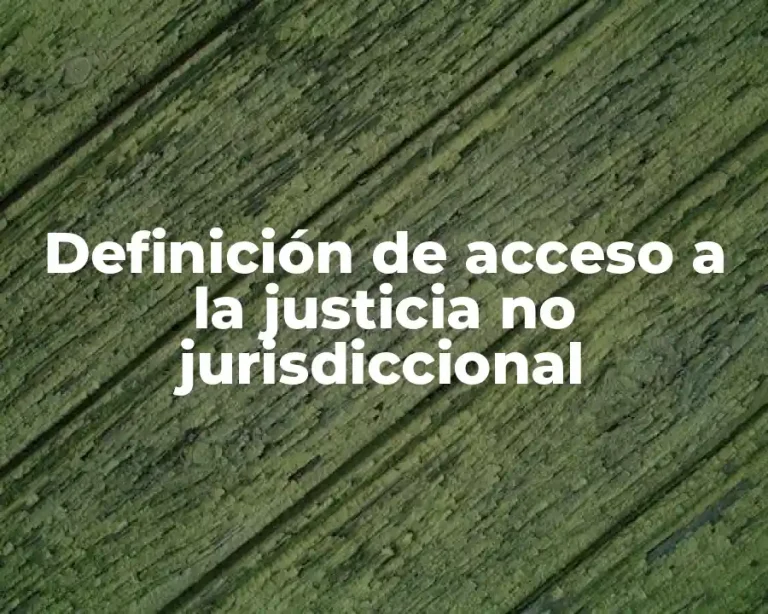 Definición de acceso a la justicia no jurisdiccional