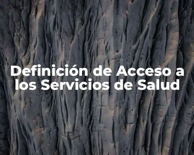 Definición de Acceso a los Servicios de Salud