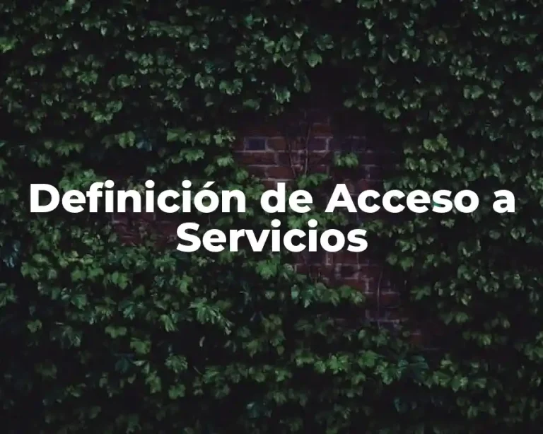 Definición de Acceso a Servicios