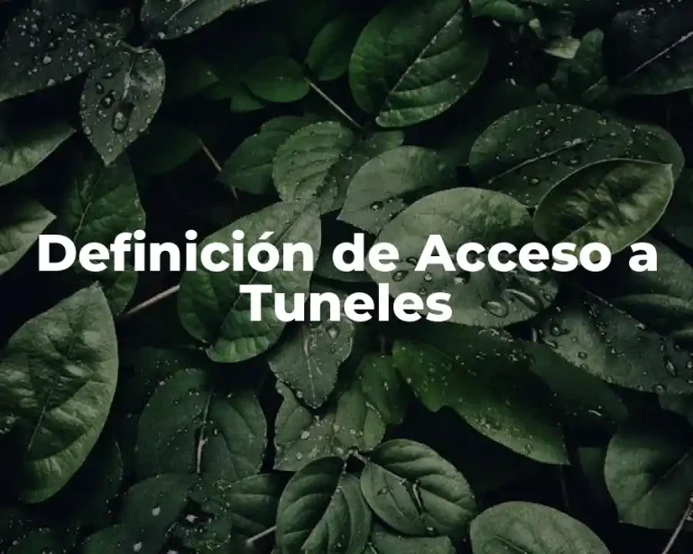 Definición de Acceso a Tuneles