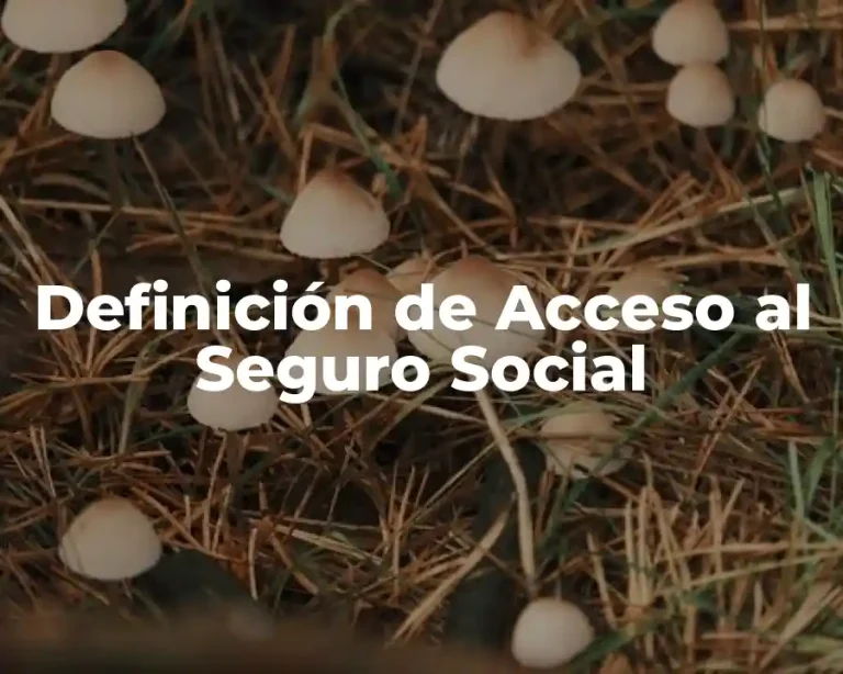 Definición de Acceso al Seguro Social