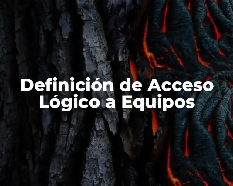 Definición de Acceso Lógico a Equipos