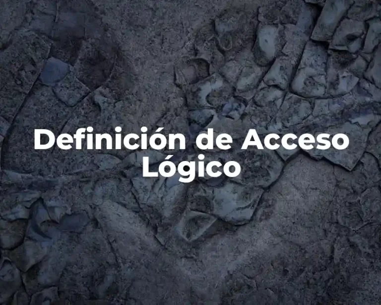 Definición de Acceso Lógico