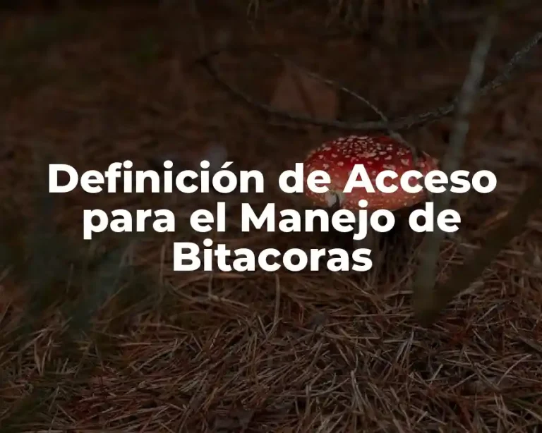 Definición de Acceso para el Manejo de Bitacoras
